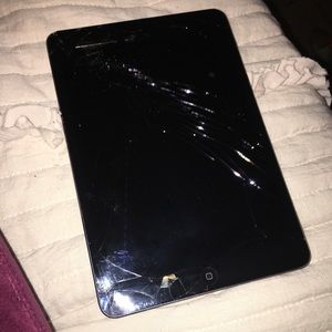 iPad mini